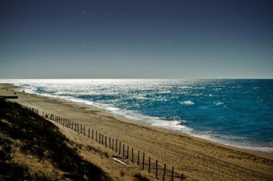 Pierre Et Vacances Studio Moliets-et-Maa Dış mekan fotoğraf